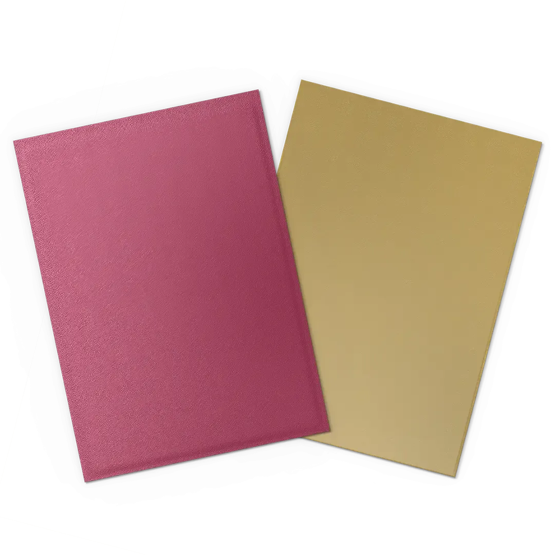 Dragon Shield: Pomegranate & Gold - Matte Dual Sleeves
