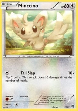 Minccino
