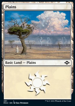 Plains (V.1)