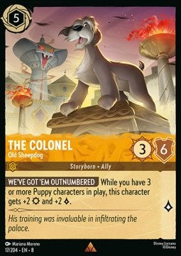 The Colonel - Old Sheepdog