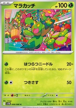 Maractus