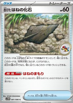 Antique Plume Fossil