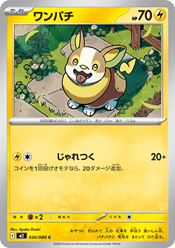Yamper