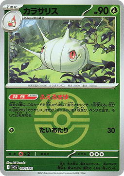 Silcoon