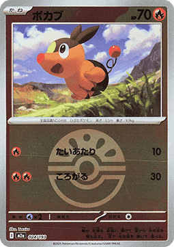 Tepig
